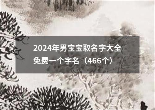 2024年男宝宝取名字大全免费一个字名（466个）