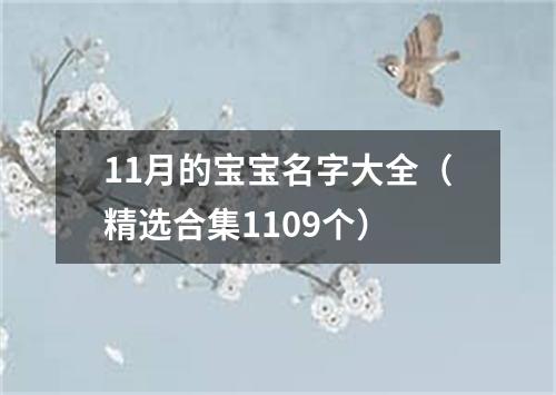 11月的宝宝名字大全（精选合集1109个）