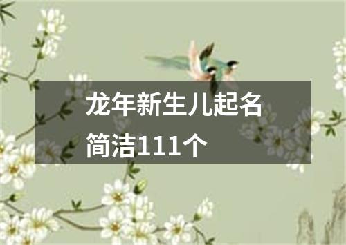 龙年新生儿起名简洁111个