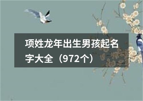 项姓龙年出生男孩起名字大全（972个）