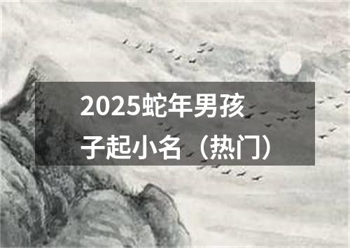 2025蛇年男孩子起小名（热门）