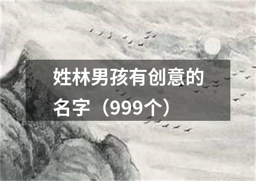 姓林男孩有创意的名字（999个）