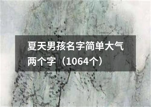 夏天男孩名字简单大气两个字（1064个）