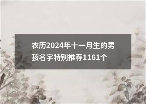 农历2024年十一月生的男孩名字特别推荐1161个