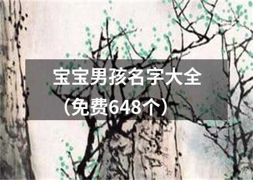 宝宝男孩名字大全（免费648个）