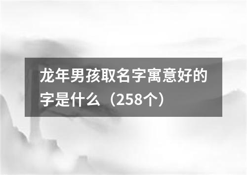 龙年男孩取名字寓意好的字是什么（258个）