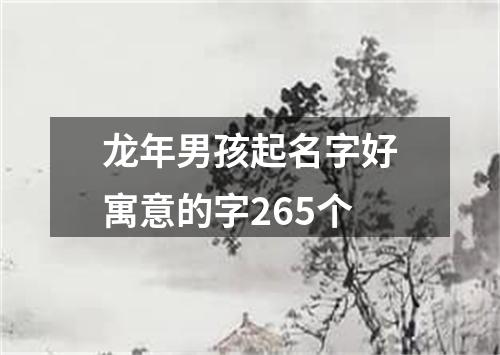 龙年男孩起名字好寓意的字265个