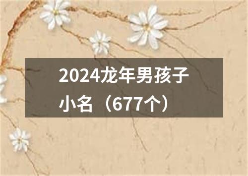 2024龙年男孩子小名（677个）