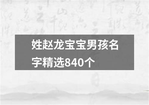 姓赵龙宝宝男孩名字精选840个