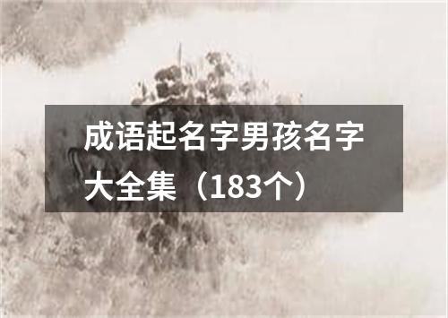 成语起名字男孩名字大全集（183个）