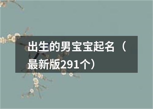 出生的男宝宝起名（最新版291个）