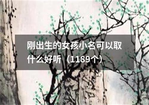 刚出生的女孩小名可以取什么好听（1189个）