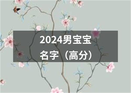 2024男宝宝名字（高分）