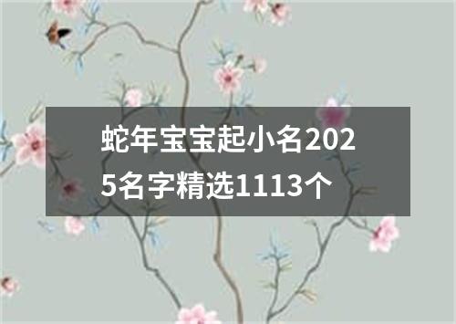 蛇年宝宝起小名2025名字精选1113个