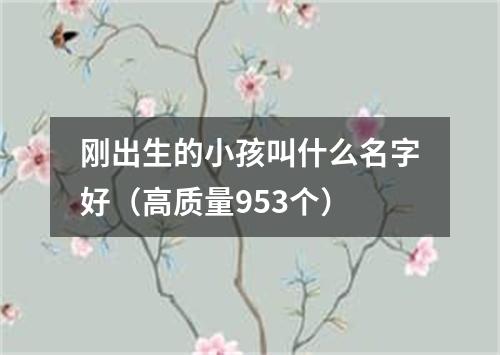 刚出生的小孩叫什么名字好（高质量953个）