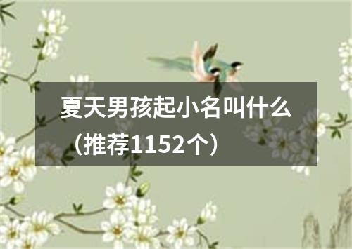 夏天男孩起小名叫什么（推荐1152个）