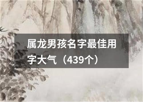 属龙男孩名字最佳用字大气（439个）