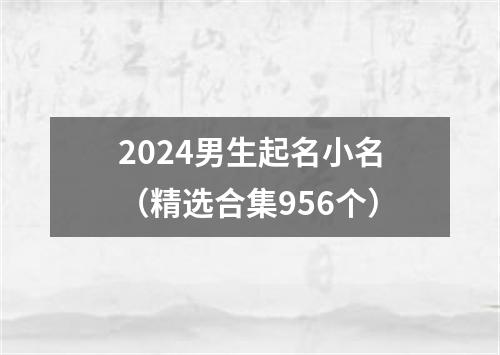 2024男生起名小名（精选合集956个）