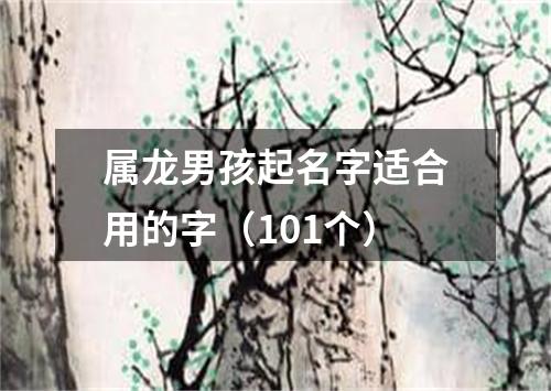 属龙男孩起名字适合用的字（101个）