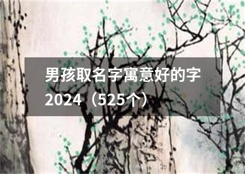 男孩取名字寓意好的字2024（525个）