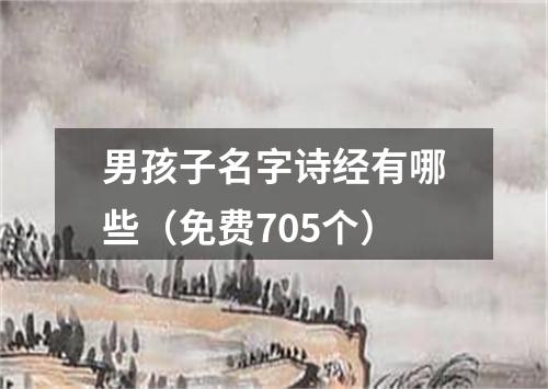 男孩子名字诗经有哪些（免费705个）