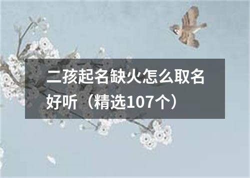 二孩起名缺火怎么取名好听（精选107个）