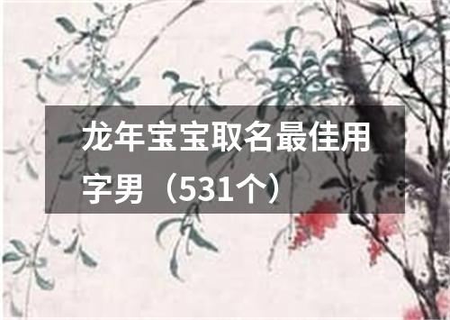 龙年宝宝取名最佳用字男（531个）