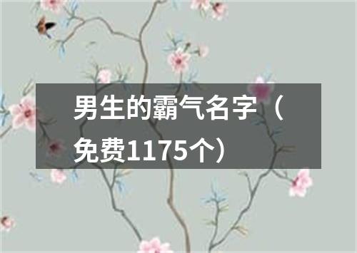 男生的霸气名字（免费1175个）