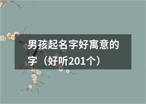 男孩起名字好寓意的字（好听201个）