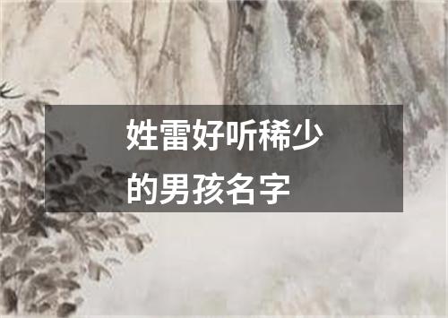 姓雷好听稀少的男孩名字