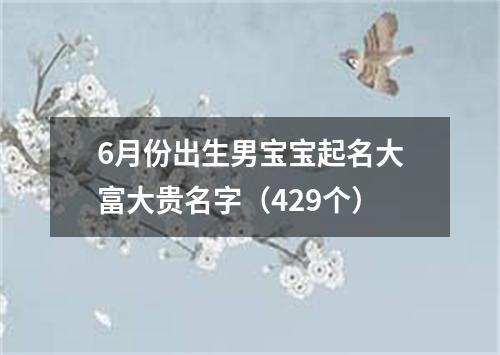 6月份出生男宝宝起名大富大贵名字（429个）