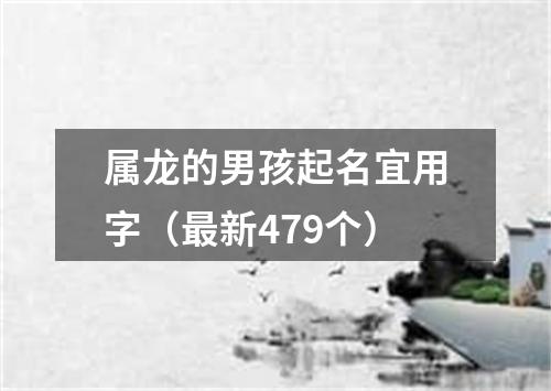 属龙的男孩起名宜用字（最新479个）