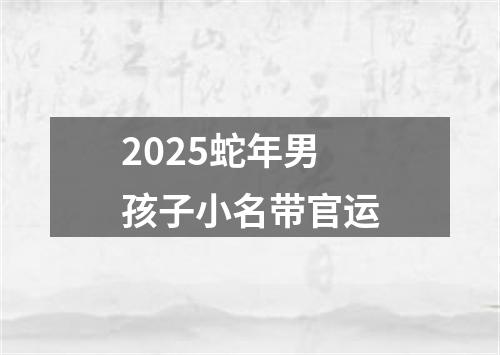 2025蛇年男孩子小名带官运