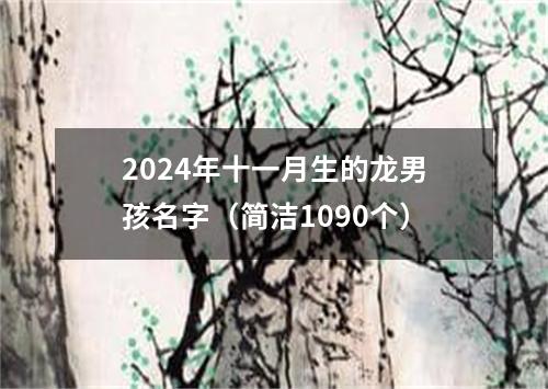 2024年十一月生的龙男孩名字（简洁1090个）