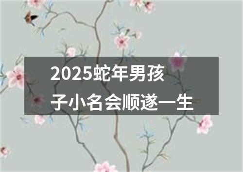 2025蛇年男孩子小名会顺遂一生