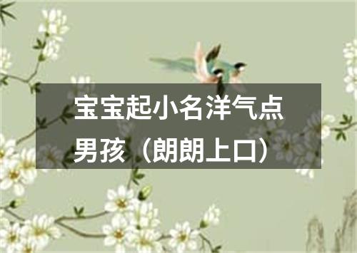 宝宝起小名洋气点男孩（朗朗上口）