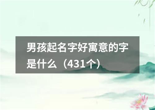 男孩起名字好寓意的字是什么（431个）