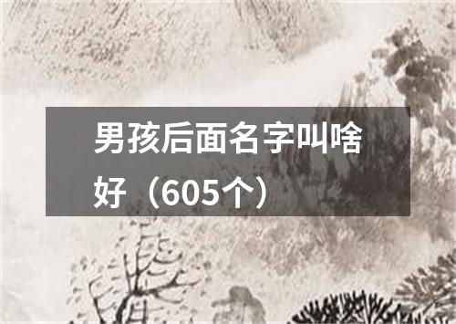 男孩后面名字叫啥好（605个）