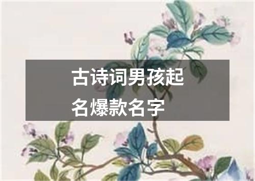 古诗词男孩起名爆款名字