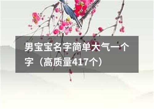 男宝宝名字简单大气一个字（高质量417个）