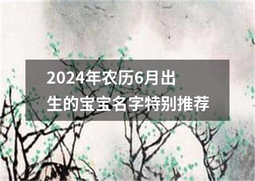 2024年农历6月出生的宝宝名字特别推荐