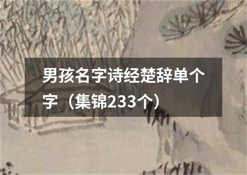 男孩名字诗经楚辞单个字（集锦233个）