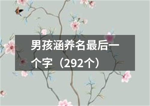 男孩涵养名最后一个字（292个）