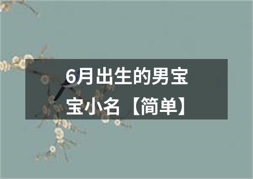 6月出生的男宝宝小名【简单】