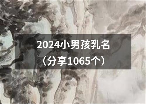 2024小男孩乳名（分享1065个）