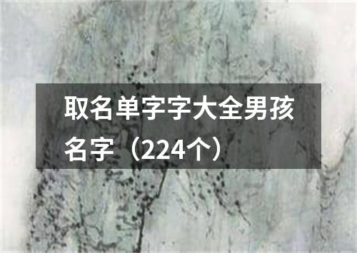 取名单字字大全男孩名字（224个）