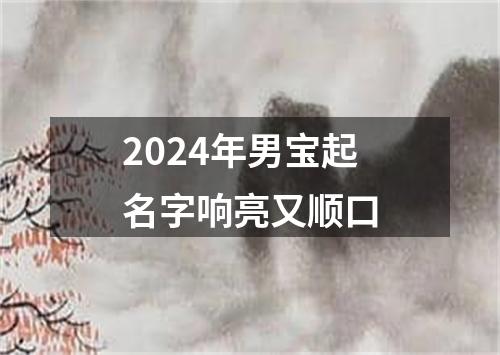 2024年男宝起名字响亮又顺口