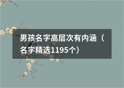 男孩名字高层次有内涵（名字精选1195个）