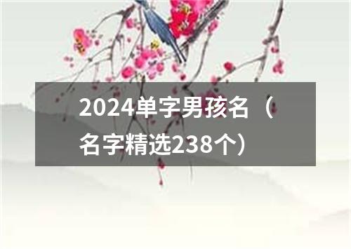 2024单字男孩名（名字精选238个）