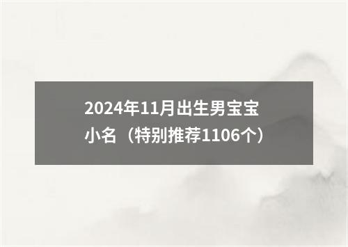 2024年11月出生男宝宝小名（特别推荐1106个）